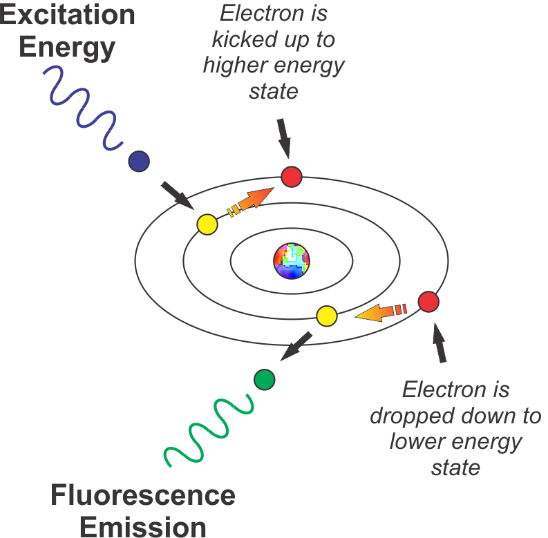 Science of Fluorescence and Fluorescent Light Photography