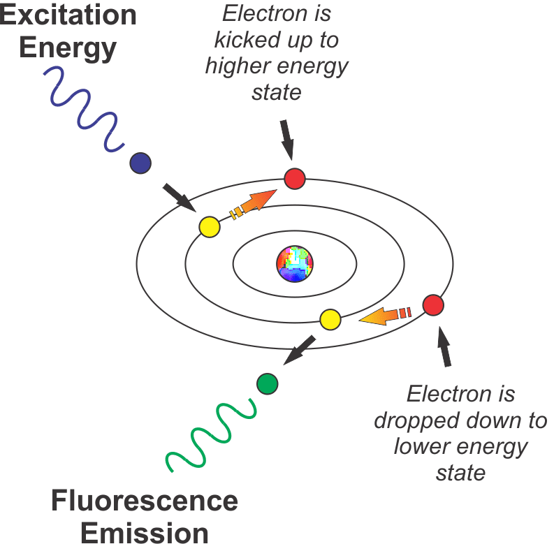 The Science of Fluorescence