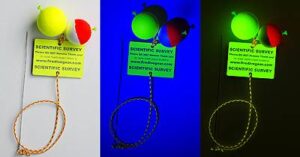 fluorescent-markers