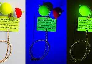 Fluorescent Markers